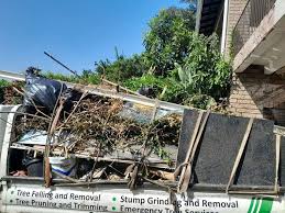 Best Shed Removal  in Erie, IL